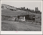 Ola, Idaho. FSA (Farm Security Administration) Ola self-help cooperative. Home of a member