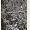 Ola, Idaho. FSA (Farm Security Administration) Ola self-help cooperative. A member in timber which is available for the sawmill