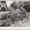 Japanese Americans living at the CCC camp now under FSA management.  Beautify the grounds