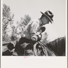 Cowboy who cares for beef cattle of members of the Ola Self-Help Co-op, Ola, Idaho