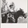 Ola, Idaho. Cowboy who cares for beef cattle of members of the Ola self-help cooperative