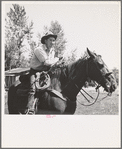 Ola, Idaho. Cowboy who cares for beef cattle of members of the Ola self-help cooperative