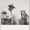 Ola, Idaho. Cowboy who cares for beef cattle of members of the Ola self-help cooperative