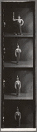 George Balanchine's The Nutcracker