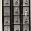 School of American Ballet, faculty