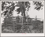 Primitive hog pen built by itinerant statue maker and day laborer camped on Poteau Creek near Spiro, Oklahoma. Sequoyah County