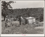 Camp of migrant agricultural day laborers who moved their goods along the road in this push cart. Camp is near Vian, Oklahoma, Sequoyah County