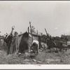 Camp of migrant agricultural day laborers near Vian, Oklahoma. Sequoyah County