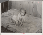 Child of tenant farmer. Arkansas River bottoms near Vian, Oklahoma