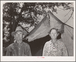 Old couple who have moved into tent home near Sallisaw, Oklahoma, in order to save rent and cost of wood in town