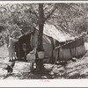 Home of old couple who have moved to tent home out of Sallisaw, Oklahoma, in order to save cost of rent and wood in town