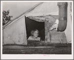 Child looking out of window of tent home near Sallisaw, Oklahoma. Sequoyah County