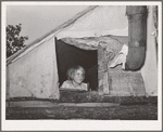 Child looking out of window of tent home near Sallisaw, Oklahoma. Sequoyah County