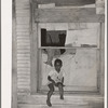 Son of Negro agricultural day laborer sitting in window of his home. Muskogee County, Oklahoma