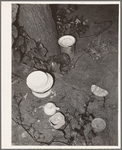 Dishes left by the migrant family at their homestead near Muskogee, Oklahoma