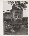 Rear of migrant's truck with dog underneath it. Getting ready to leave for California. Near Muskogee, Oklahoma