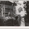Mrs. Thomas placing vegetables from her garden into truck which they will use to transport them to California from Muskogee, Oklahoma