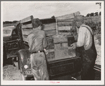 Placing the family chest into the rear of improvised truck which will take the Thomas family as migrants to California from Muskogee, Oklahoma