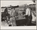 Placing the family chest into the rear of improvised truck which will take the Thomas family as migrants to California from Muskogee, Oklahoma