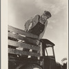 Elmer Thomas, migrant to California, standing on the body of his improvised truck before leaving for California. Near Muskogee, Oklahoma