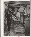 Mrs. Elmer Thomas, migrant to California, putting the front seat of their truck in place preparatory to departure from Muskogee, Oklahoma