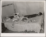 Children asleep on bed at square dance in hills near McAlester on Saturday night in home of sharecropper. Oklahoma, Pittsburg County