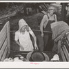 Loading the truck of migrant family which will take them to California from Muskogee, Oklahoma