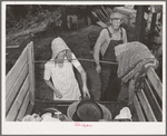 Loading the truck of migrant family which will take them to California from Muskogee, Oklahoma