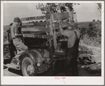 Getting ready to leave for California. Putting the cage in place on rear of truck. Near Muskogee, OklahomaGetting ready to leave for California. Putting the cage in place on rear of truck. Near Muskogee, Oklahoma