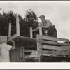 Loading table onto truck. Migrant family leaving from Muskogee enroute to California. Oklahoma