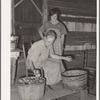 Wife of tenant farmer living near Muskogee picking over tomatoes before peeling for canning. Refer to general caption number 20