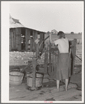 Daughter of tenant farmer living near Muskogee, Oklahoma, pumping water out of tub. See general caption number 20