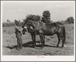 Son of tenant farmer with team of mules near Muskogee, Oklahoma. Refer to general caption number 20