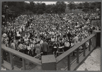 Shakespeare in the Park audience