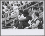 Shakespeare in the Park audience