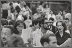 Shakespeare in the Park audience