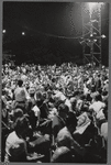 Shakespeare in the Park audience after dark