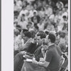 Shakespeare in the Park audience