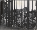 Spectators at the East River Park Amphitheatre during a New York Shakespeare Festival production of The Taming of the Shrew