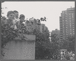 Boys at the East River Park Amphitheatre prior to a New York Shakespeare Festival production of The Taming of the Shrew