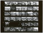 Contact sheet no. 18a-18f