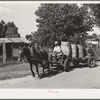 Water peddler in community camp. Oklahoma City, Oklahoma. He is paid fifteen cents a barrel for delivering water to the shack homes