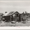 Shack of family living in Mays Avenue camp. Oklahoma City, Oklahoma