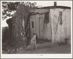 Young son of unemployed oil worker sitting on front porch of home. Seminole, Oklahoma