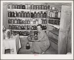 Mrs. Schoenfeldt, FSA (Farm Security Administration) client, in Sheridan County, Kansas, in fruit cellar