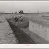 Trench silo. Sheridan County, Kansas