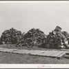 Woodpile on farmstead in Sheridan County, Kansas