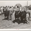 Displaying prize bulls at 4-H fair. Sublette, Kansas