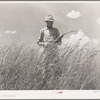 FSA (Farm Security Administration) supervisor, Baca County, Colorado, standing amidst some of the grass which was native to this section before the plow came along