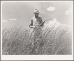 FSA (Farm Security Administration) supervisor, Baca County, Colorado, standing amidst some of the grass which was native to this section before the plow came along